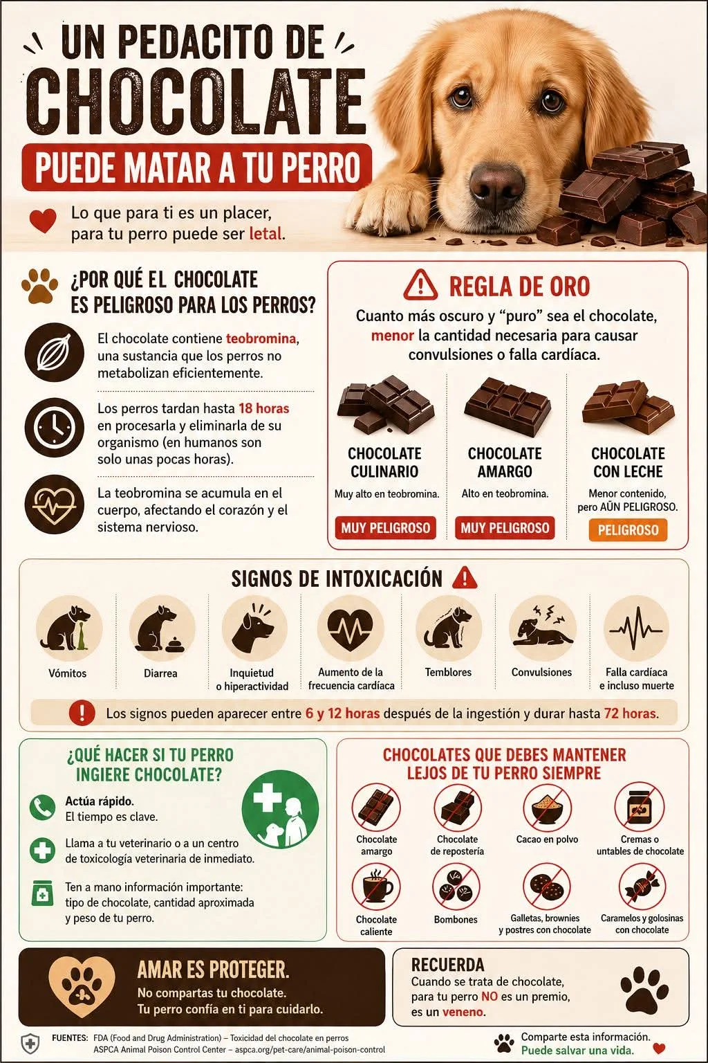 ¿Sabías que el chocolate podía ser tan peligroso para los perros?