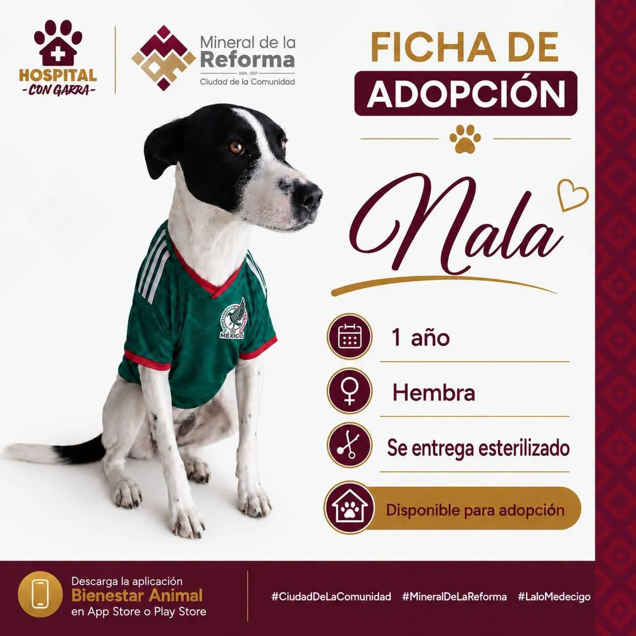 NALA