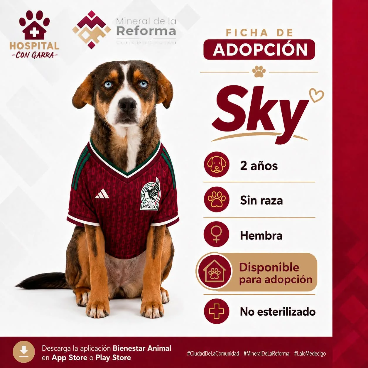 SKY