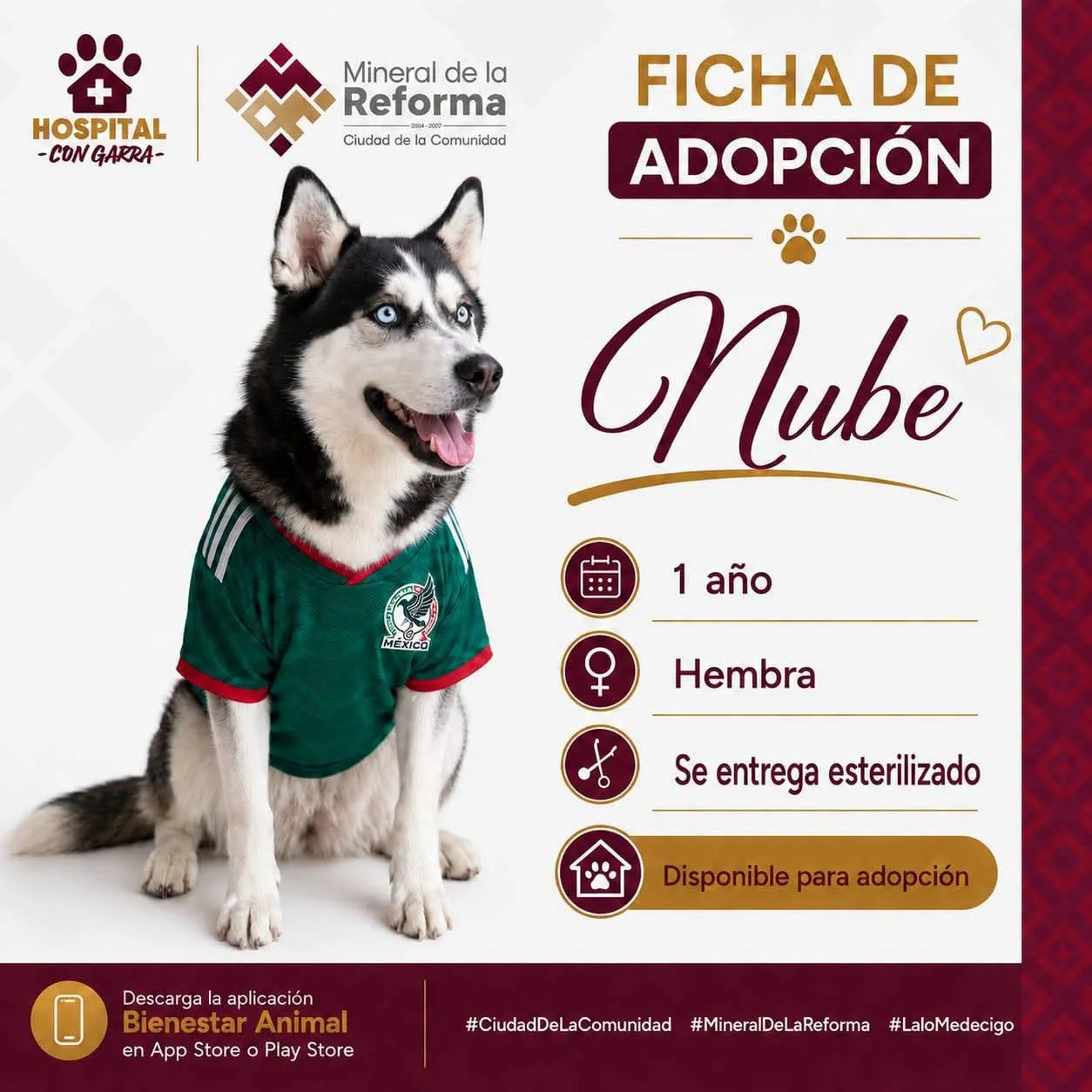 NUBE