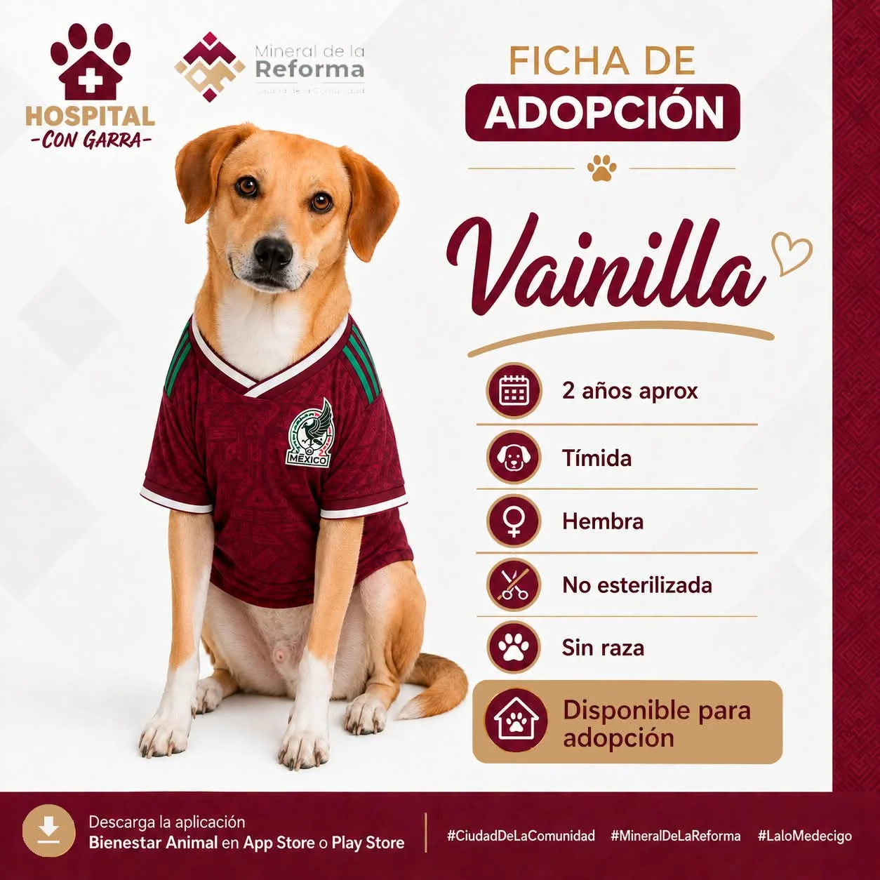 VAINILLA