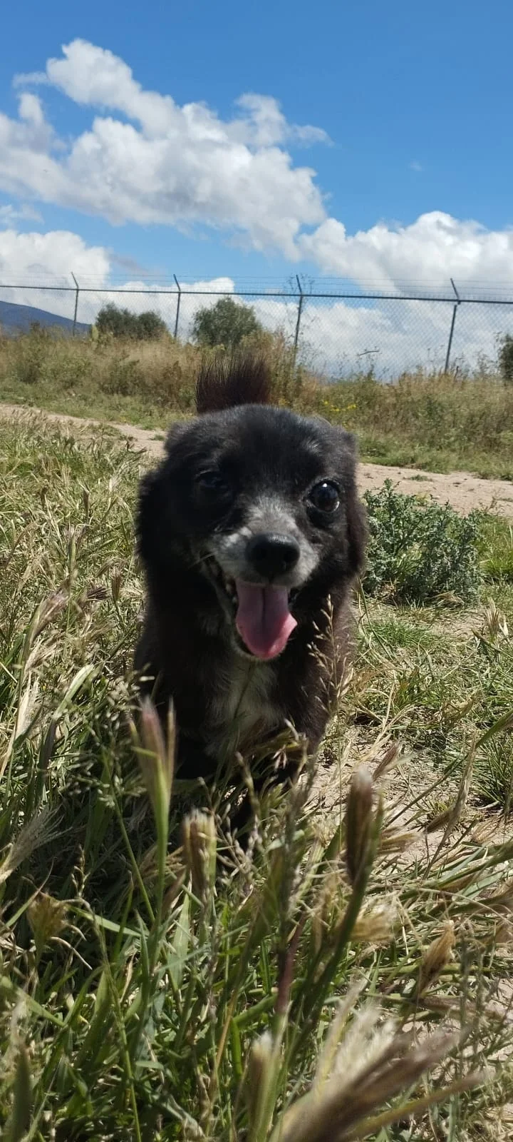 Nina