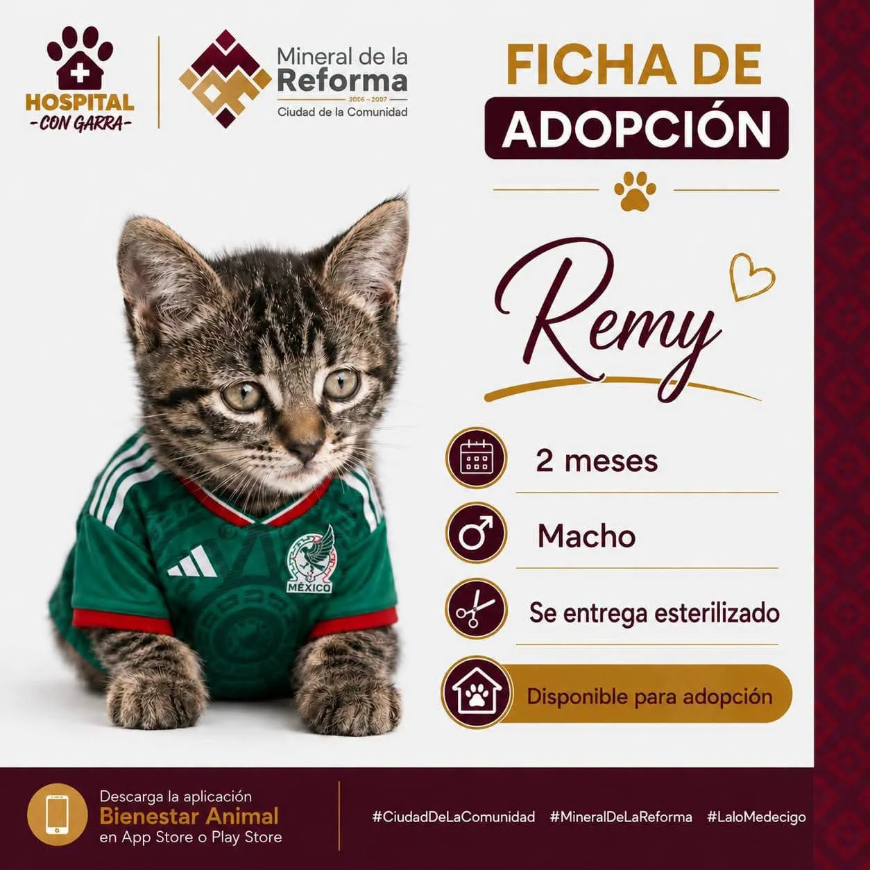 REMY