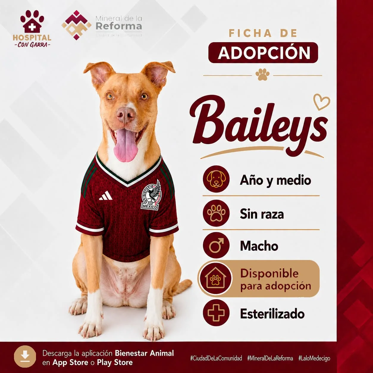 BAILEYS