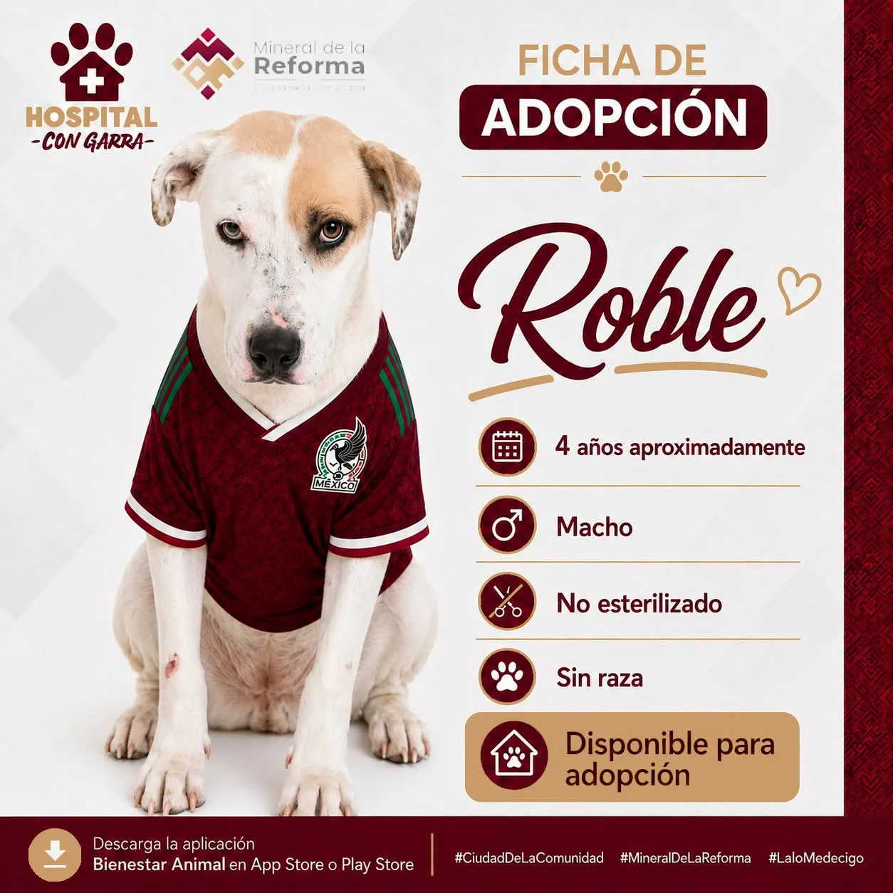 ROBLE
